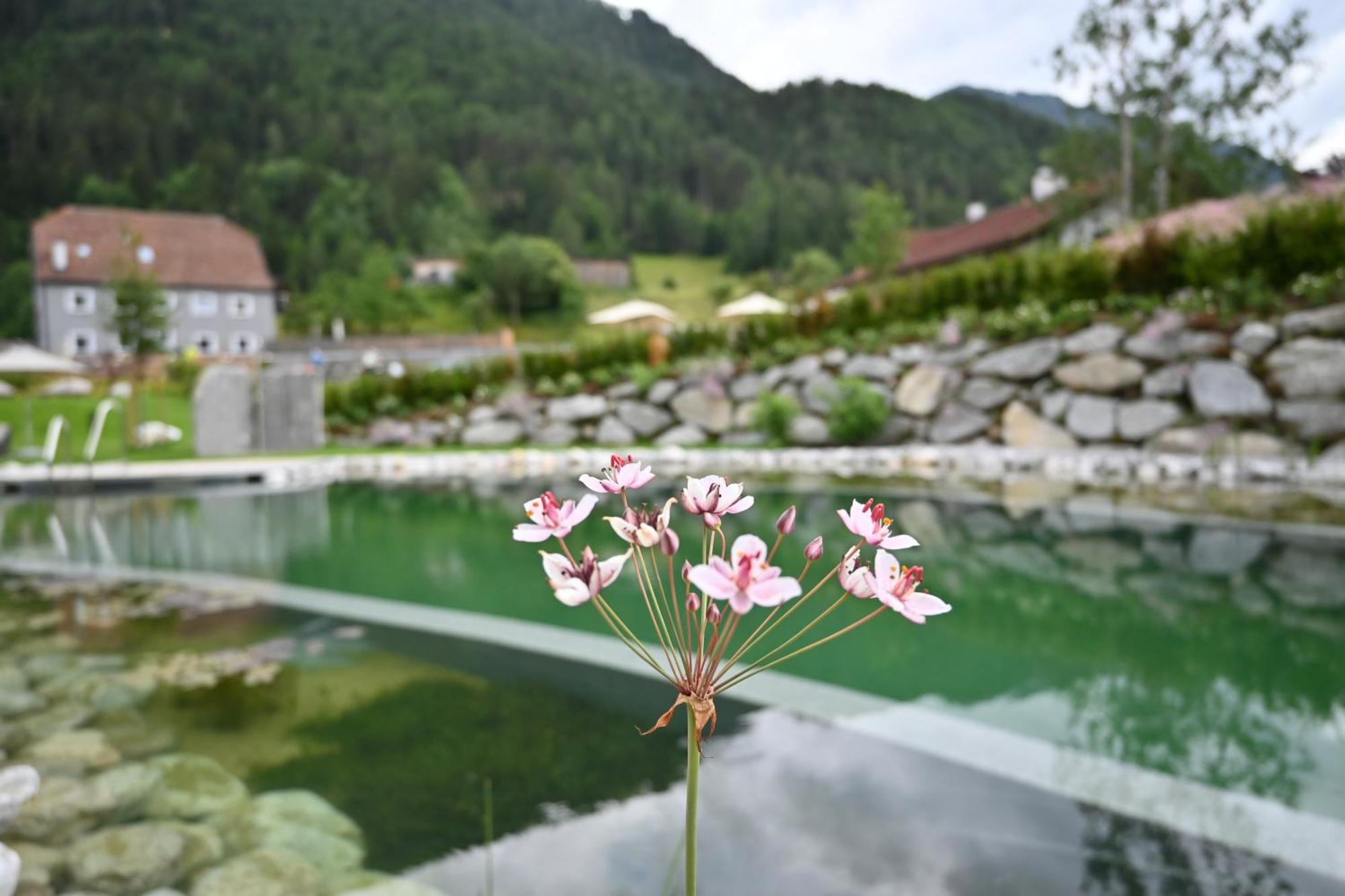 Tilia Living - B&B Mit Dem Komfort Eines Kleinen, Feinen Hotels Ried im Oberinntal Exterior photo